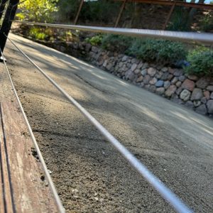 157f11e382cd4014828c8e5d2192bc69_720